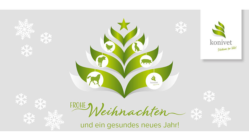 Frohe Weihnachten 2024